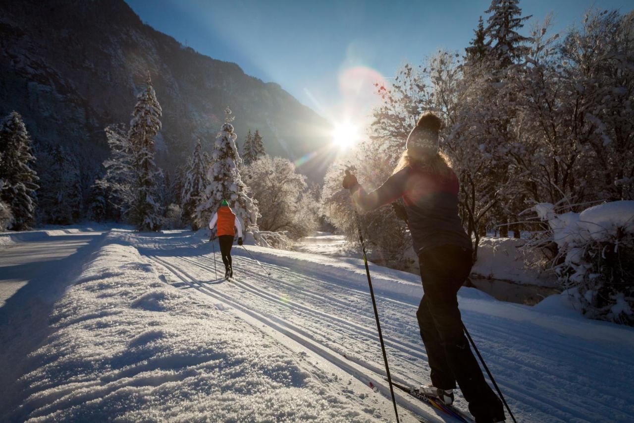 Chalet Happy Family, Secluded Location, 15 Min To Salzburg And Just Short To T Lakes Sound Of Music, Bbq&Bikes&Sunbeds For Free, Up To 14P Golling an der Salzach Exterior foto