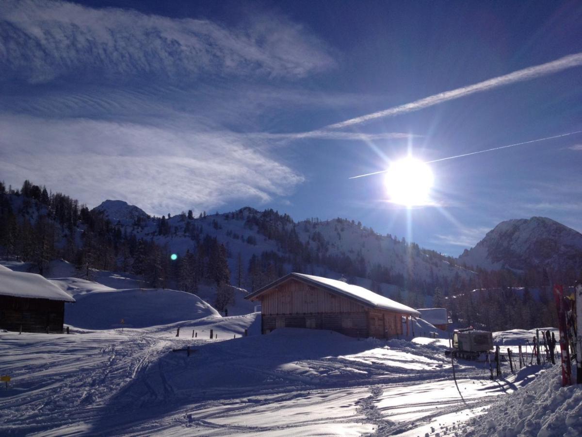 Chalet Happy Family, Secluded Location, 15 Min To Salzburg And Just Short To T Lakes Sound Of Music, Bbq&Bikes&Sunbeds For Free, Up To 14P Golling an der Salzach Exterior foto